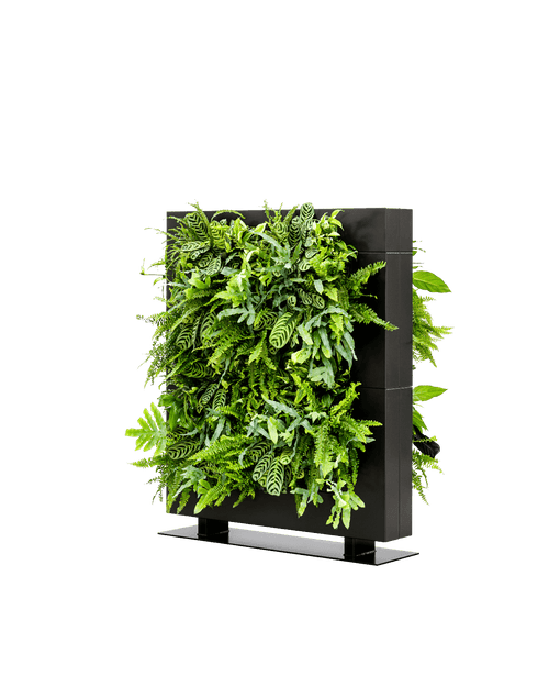 Groene Roomdivider LiveDivider Plus 2 Zwart (excl. beplanting) | 112 x 131 cm (bxh)