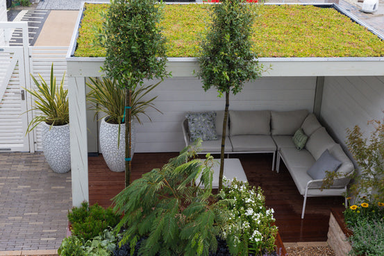 Groen Dak (MobiRoof Eco) kant en klare sedumcassette | 50 x 50 x 6 cm (b x l x d)