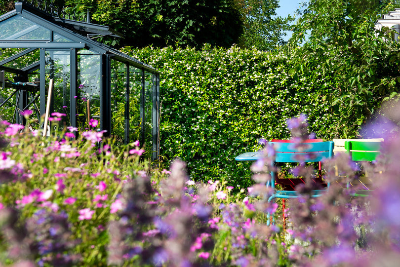 Jasmijn hagen kant en klaar van mobilane