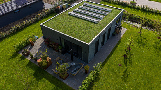 Groen Dak (MobiRoof Eco) kant en klare sedumcassette | 50 x 50 x 6 cm (b x l x d)