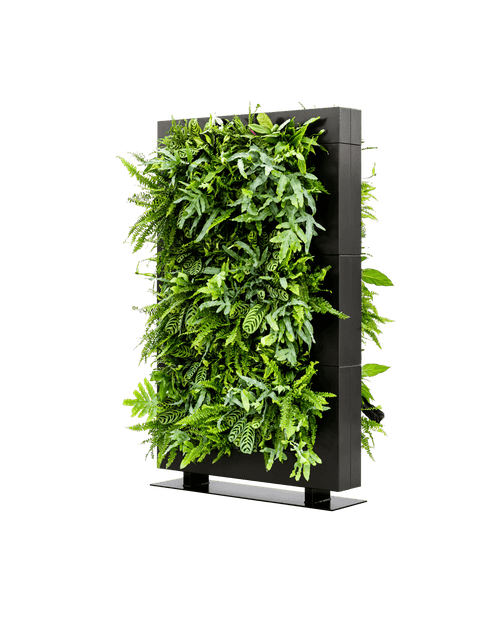 Groene Roomdivider LiveDivider Plus 3 Zwart (excl. beplanting) | 112 x 180,5 cm (bxh)