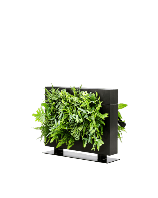 Groene Roomdivider LiveDivider Plus 1 Zwart (excl. beplanting) | 112 x 81 cm (bxh)