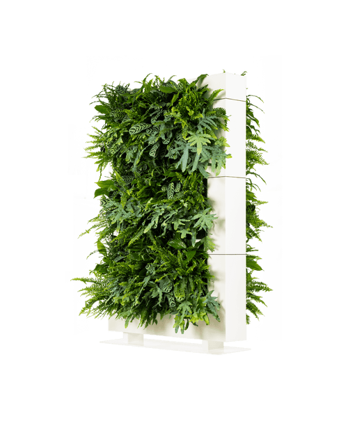 Groene Roomdivider LiveDivider Plus 3 Wit (excl. beplanting) | 112 x 180,5 cm (bxh)