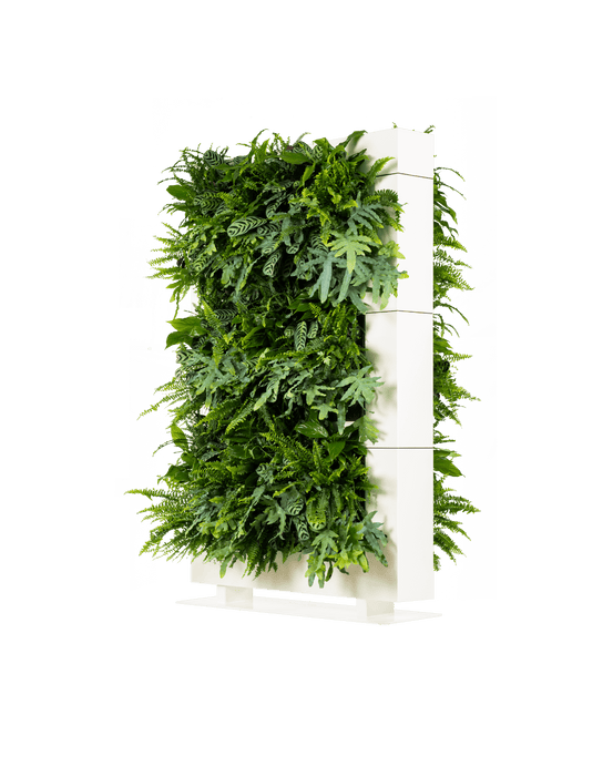 Groene Roomdivider LiveDivider Plus 3 Wit (excl. beplanting) | 112 x 180,5 cm (bxh)