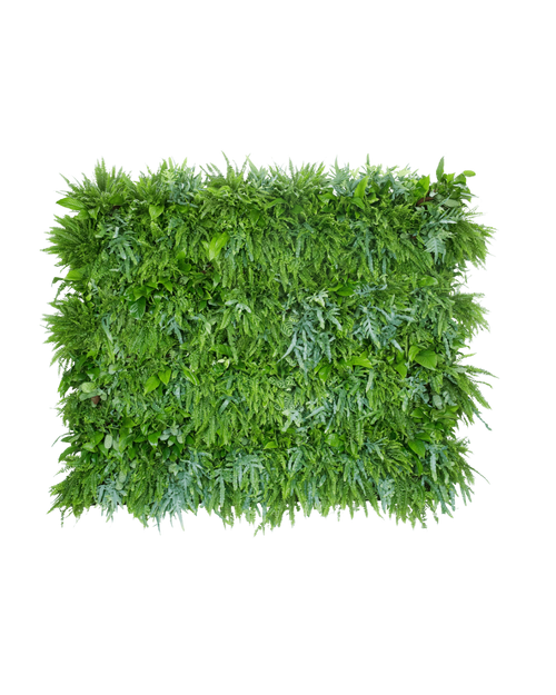 Groene Wand LivePanel Pack 6x4 (excl. beplanting) | 248 x 206 cm (bxh)